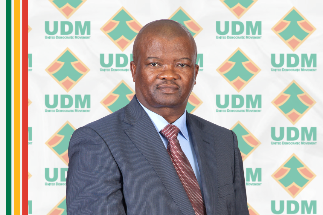 #HighLevelPanel Report: UDM welcomes the High-Level Panel Report on the assessment of key legislation and the acceleration of fundamental change